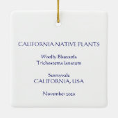 Wooly Bluecurls Keramisch Ornament (Achterkant)