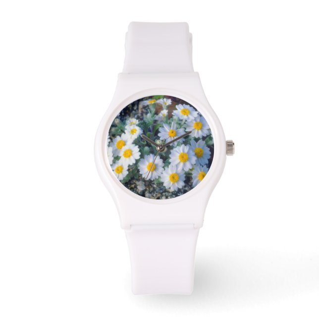 Wooly Daisy Wildbloemen Horloge (Voorkant)