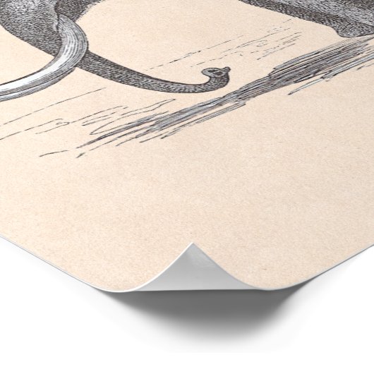 Wooly Mammoth and Skeleton Prehistorische dieren Poster (Hoek)