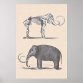 Wooly Mammoth and Skeleton Prehistorische dieren Poster (Voorkant)