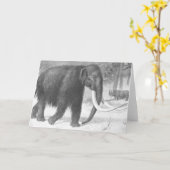 Wooly Mammoth Antiek Print Kaart (Gele Bloem)