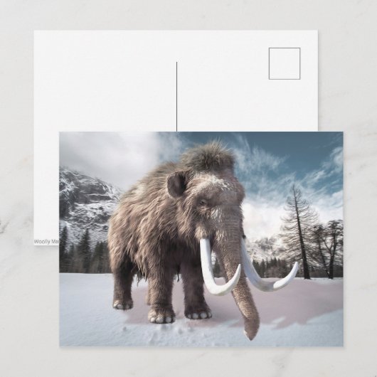 Wooly Mammoth Briefkaart (Voorkant / Achterkant)