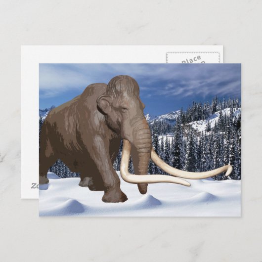 Wooly Mammoth Briefkaart (Voorkant / Achterkant)