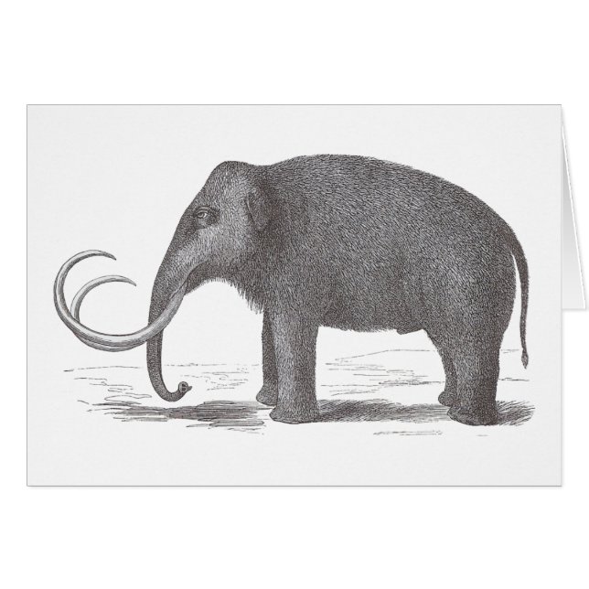 Wooly Mammoth Extinct Mastodon Antiek Print (Voorkant Horizontaal)