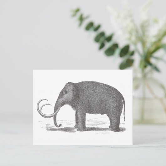 Wooly Mammoth Extinct Mastodon Antiek Print Briefkaart (Staand voorkant)
