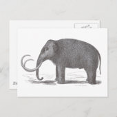 Wooly Mammoth Extinct Mastodon Antiek Print Briefkaart (Voorkant / Achterkant)