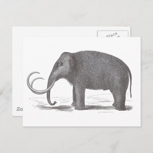 Wooly Mammoth Extinct Mastodon Antiek Print Briefkaart (Voorkant / Achterkant)