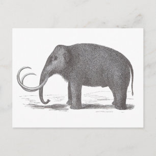 Wooly Mammoth Extinct Mastodon Antiek Print Briefkaart