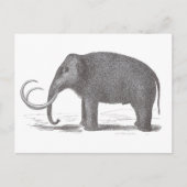 Wooly Mammoth Extinct Mastodon Antiek Print Briefkaart (Voorkant)