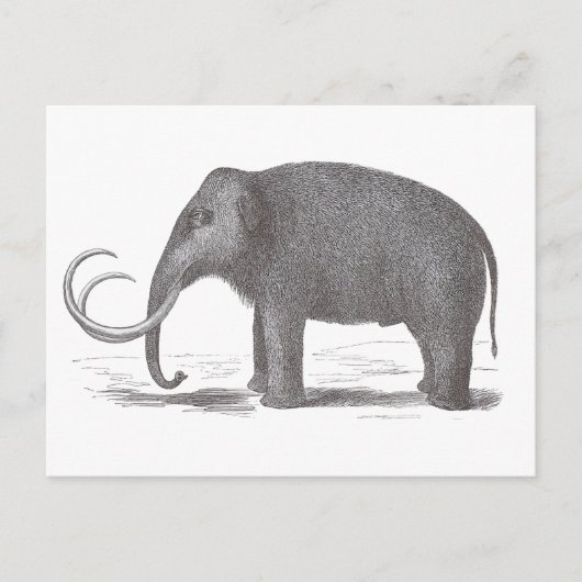 Wooly Mammoth Extinct Mastodon Antiek Print Briefkaart (Voorkant)