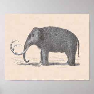 Wooly Mammoth Extinct Mastodon Funny  Poster