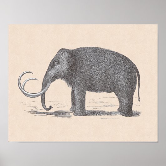 Wooly Mammoth Extinct Mastodon Funny Poster (Voorkant)