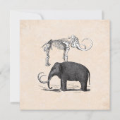 Wooly Mammoth Goede Tijden Jongens Verjaardagsfees Kaart (Voorkant)