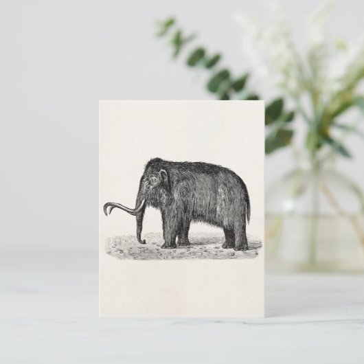  Wooly Mammoth Illustratie Wooly Mammoths Briefkaart (Staand voorkant)