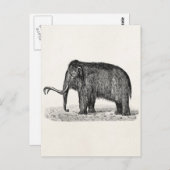  Wooly Mammoth Illustratie Wooly Mammoths Briefkaart (Voorkant / Achterkant)