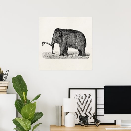 Wooly Mammoth Illustratie Wooly Mammoths Poster (Thuiskantoor)