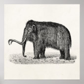 Wooly Mammoth Illustratie Wooly Mammoths Poster (Voorkant)