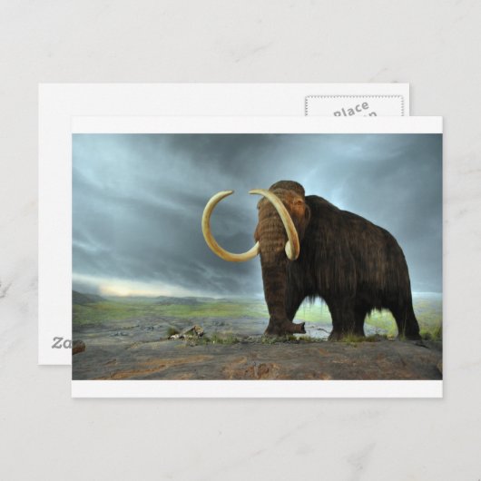 Wooly Mammoth Mod Destiny Briefkaart (Voorkant / Achterkant)