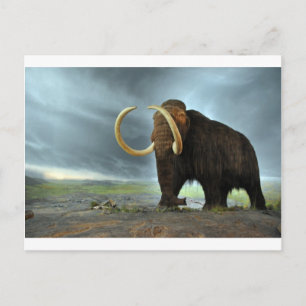 Wooly Mammoth Mod Destiny Briefkaart