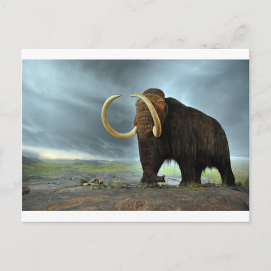 Wooly Mammoth Mod Destiny Briefkaart (Voorkant)