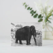 Wooly Mammoth Mod Destiny Briefkaart (Staand voorkant)