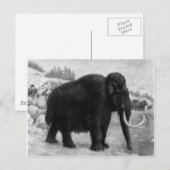 Wooly Mammoth Mod Destiny Briefkaart (Voorkant / Achterkant)