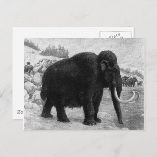 Wooly Mammoth Mod Destiny Briefkaart (Voorkant / Achterkant)