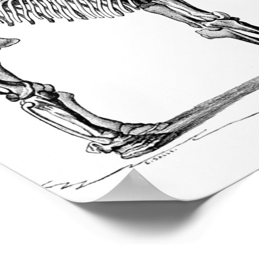 Wooly Mammoth Poster (Hoek)