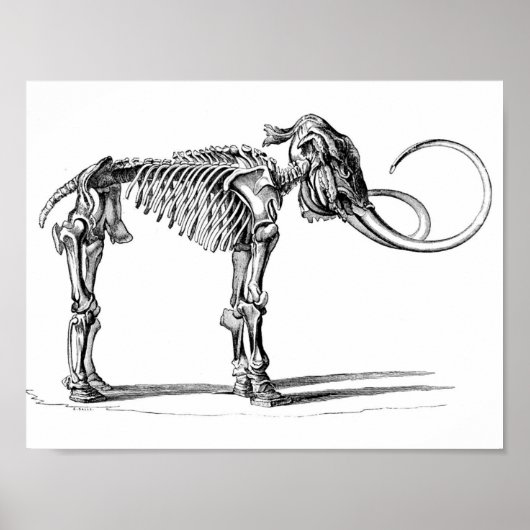 Wooly Mammoth Poster (Voorkant)