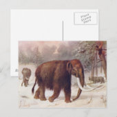 Wooly Mammoth Prehistorische Animal Antiek Print Briefkaart (Voorkant / Achterkant)