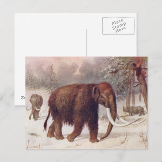 Wooly Mammoth Prehistorische Animal Antiek Print Briefkaart (Voorkant / Achterkant)