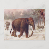 Wooly Mammoth Prehistorische Animal Antiek Print Briefkaart (Voorkant)