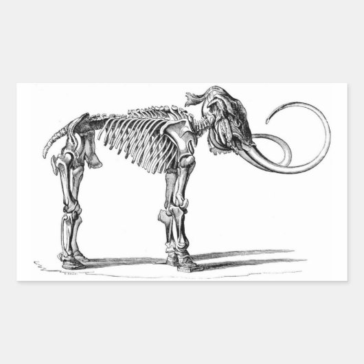 Wooly Mammoth Skeleton stickers (Voorkant)