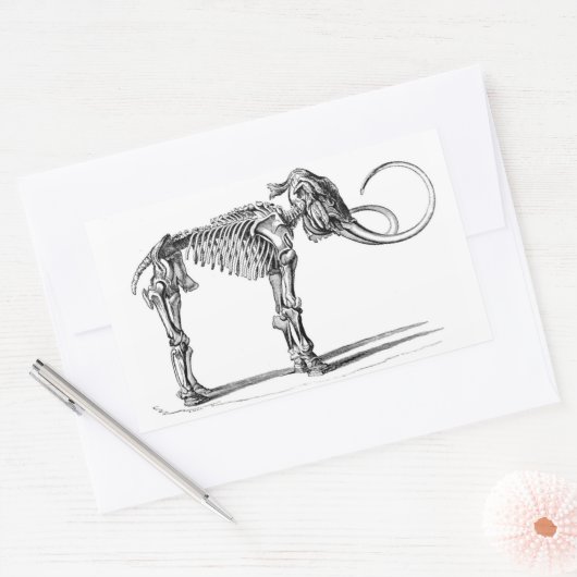 Wooly Mammoth Skeleton stickers (Envelop)