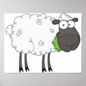 Wooly Sheep Poster (Voorkant)