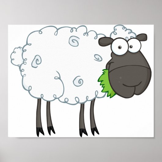 Wooly Sheep Poster (Voorkant)