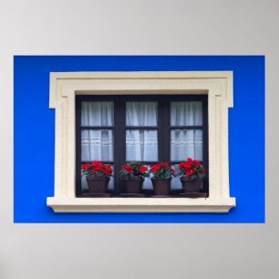 Woonhuis met bloemen in de ramen poster