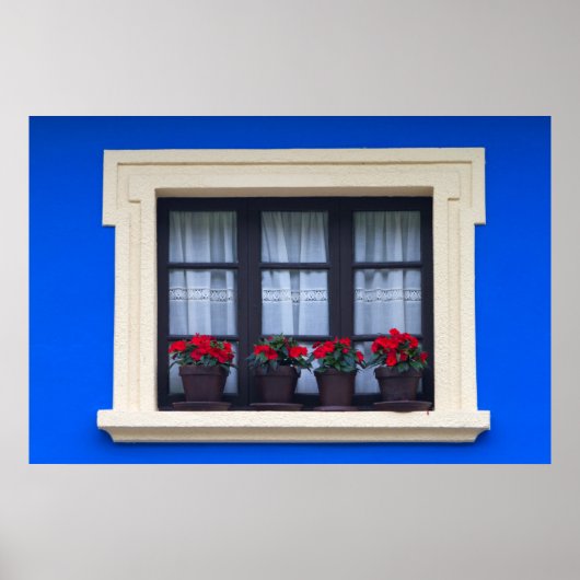 Woonhuis met bloemen in de ramen poster (Voorkant)
