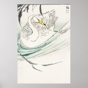 Wooper Swan illustratie. Poster