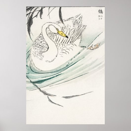 Wooper Swan illustratie. Poster (Voorkant)