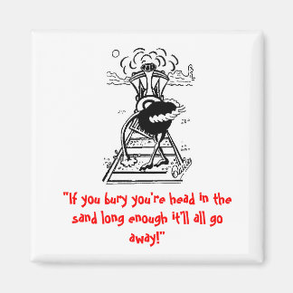 Woord aan de wijze magneet