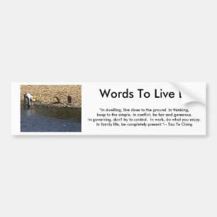 Woorden om langs te leven - Tao te Ching Guilin Wo Bumpersticker