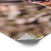 Woorden om te leven door Classroom Poster (Hoek)