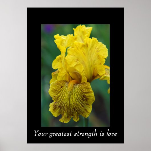 Woorden van het Poster van Wisdom (Voorkant)