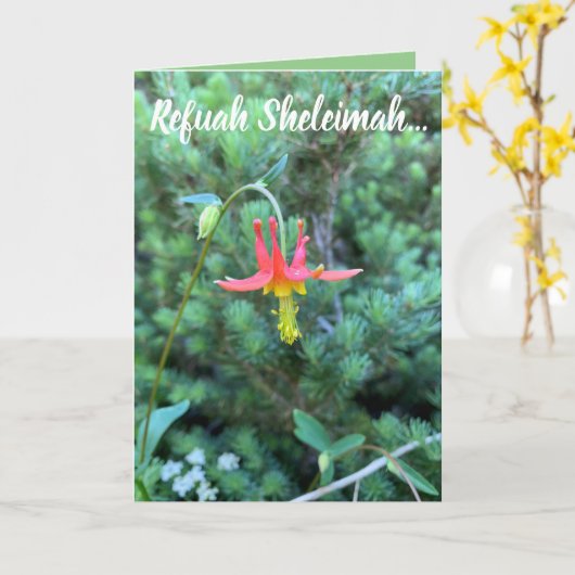 Woordenaar, Refuah Sheleimah Kaart (Gele Bloem)