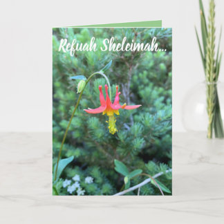 Woordenaar, Refuah Sheleimah Kaart
