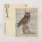 woordenboek Art Brown Owl Bird Briefkaart (Voorkant / Achterkant)
