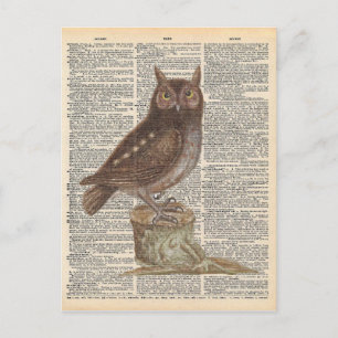 woordenboek Art Brown Owl Bird Briefkaart