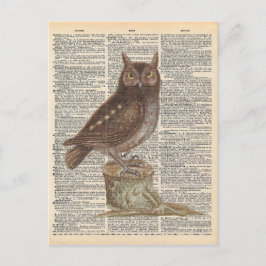  woordenboek Art Brown Owl Bird Briefkaart