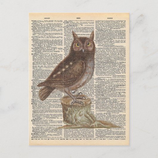 woordenboek Art Brown Owl Bird Briefkaart (Voorkant)